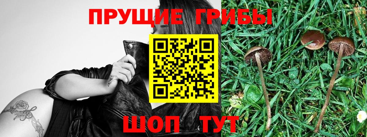 Галлюциногенные грибы MAGIC MUSHROOMS Мариинск